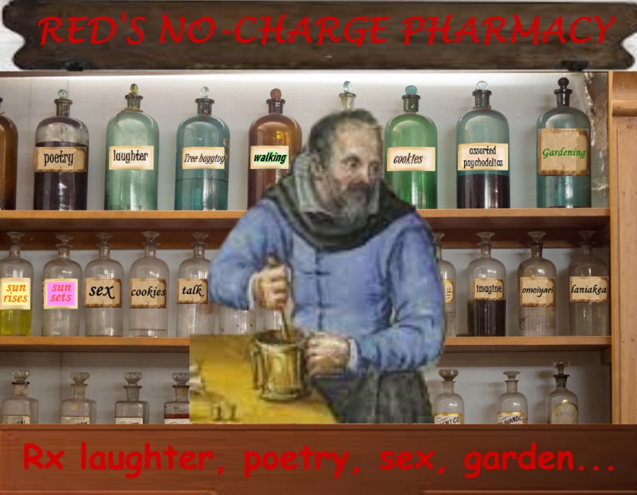 the pharmacist picture