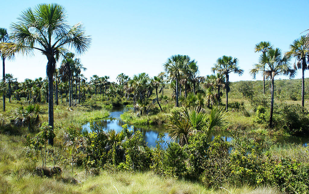 Sertao
			landscape